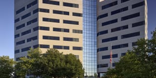 The Oxford Gallery 34