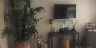 23 Duke Drive Gallery 11