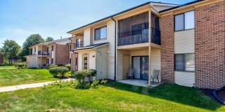 Prairie Green Gallery 19