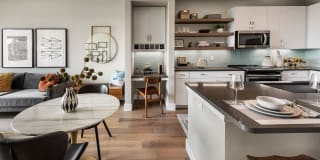 Roadrunner on McDowell Gallery 13