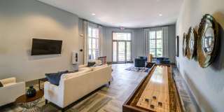 The Aster Gallery 41