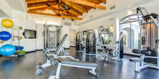 Calista Gallery 20