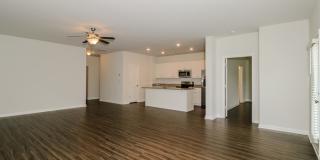 163 Dorian Loop Gallery 3