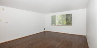 Cedar Park 8 Gallery 14