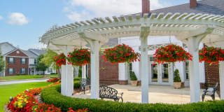 Albany Woods Gallery 19