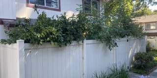 2539 Blue Rock Court Gallery 1