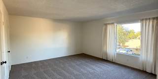 111 W Avenida de los Arboles Gallery 6