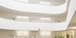 Lumina Gallery 9