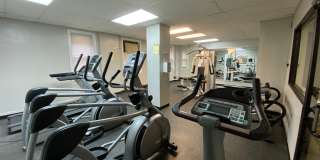 Museum Walk Gallery 3