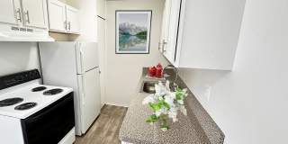 Kensington Park Gallery 1