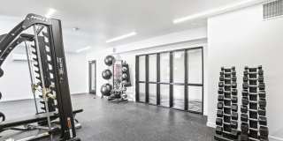 The Oliveen Gallery 19