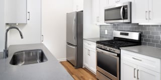 The Wren at Sharon Gallery 1