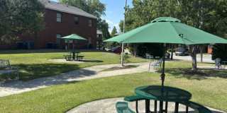 Arlington Pointe Gallery 29