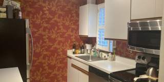 1730 West Abingdon Drive Gallery 4