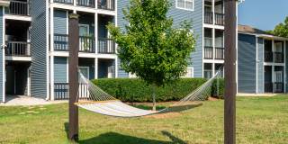 Avenues at Steele Creek Gallery 10