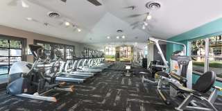 Verdant Apartment Homes Gallery 6