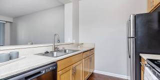 The Village at Town Center Gallery 87