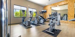 Olympus Alameda Gallery 29