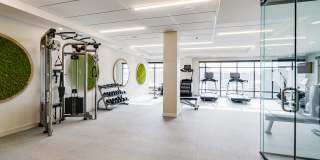 Nolan Mains Gallery 67