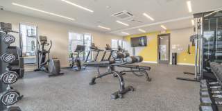 Alta University Place Gallery 24