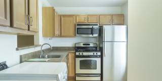 Ash Tree - Student Housing Gallery 28