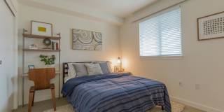 Linden Apartments Gallery 2