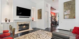 447 N McClurg Court Gallery 15