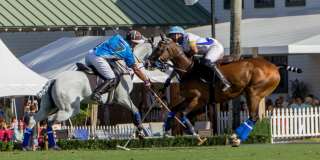 900 Cosmos Court Gallery 42