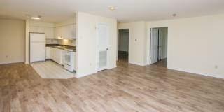 Chestnut Hill East Gallery 4