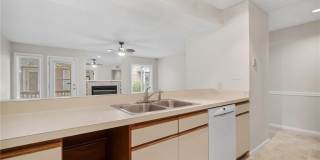 2316 Starfish Road Gallery 24