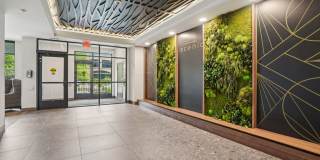 The Scenic Gallery 25