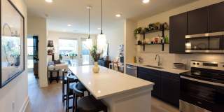 The Goat Farm Gallery 1