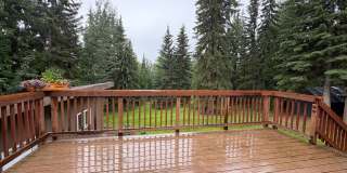 Dog friendly, 3 bedroom home in the hills Gallery 8