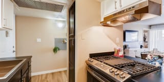 Scottsdale Gateway Gallery 7