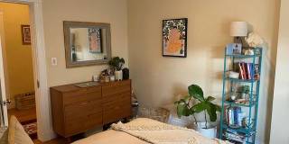 15 Colliston Rd. Gallery 3