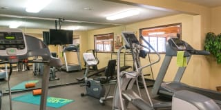 Cedars 94 Gallery 16