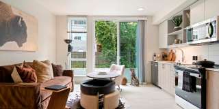 Ion Queen Anne Gallery 2