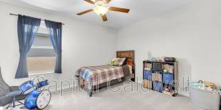 9434 Lemon Drop Loop Gallery 34