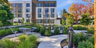 Lorien Ivy Apartments Gallery 33