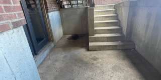 OSU Gateway 4 bedroom 2 full bath 3 apartment Gallery 42