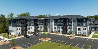 Lively at Drayton Mills Gallery 61