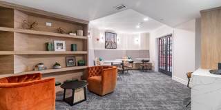 Sofi at Salem Station Gallery 22