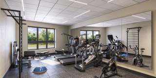 Cadence on Leo Gallery 12