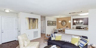 Palmetto Place Palmetto Place Gallery 11