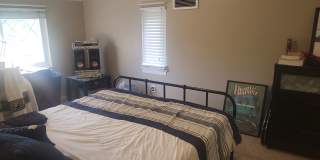 Updated 3 Bed, 1.5 Bath Home in Forest Hills - Available July 1! Updated 3 Bed, 1.5 Bath Home in Forest Hills - Available July 1! Gallery 15