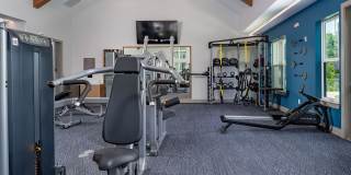 Palmhouse Gallery 17