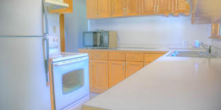 Spacious Renton Rambler w/ a HUGE Backyard! Gallery 6