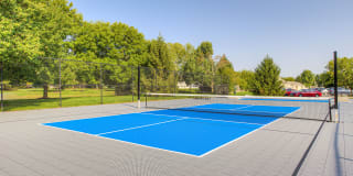 Linden Square Gallery 82