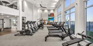 Haven at the Gulch Gallery 50