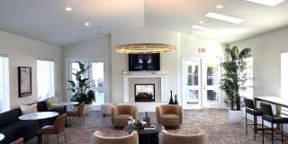 The Vintage Gallery 5